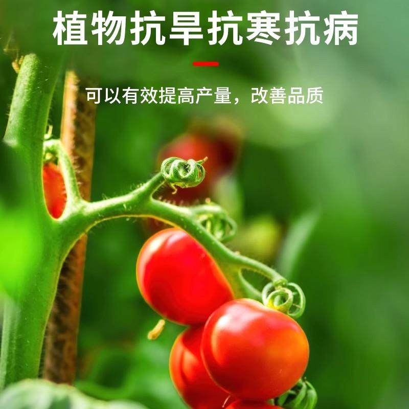 矿源黄腐酸钾土壤活化剂黑水肥料松土精花卉盆栽植物养花黑水,淘宝优惠券,粉丝福利购,淘宝优惠卷