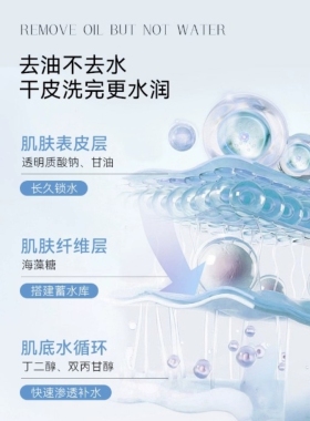 百莲凯 活颜悦色洁颜霜100g 新款 清洁控油疏通毛孔黑头洗面奶