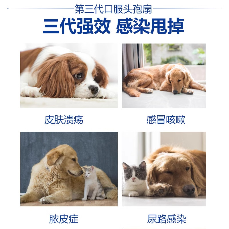 回盛头孢泊肟酯片猫狗皮肤病真菌细菌脓皮症消炎感冒泌尿感染猫咪,淘宝优惠券,粉丝福利购,淘宝优惠卷