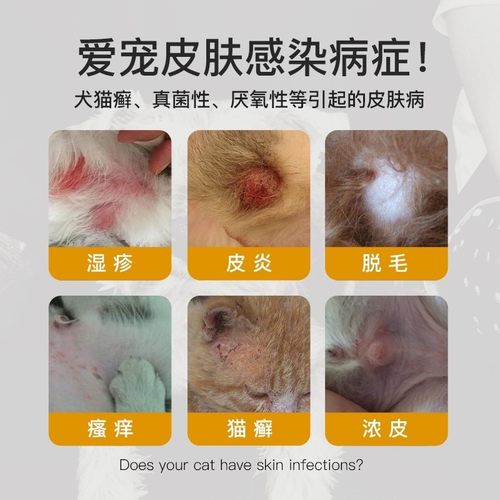 lanboto舒肤复方酮康唑软膏宠物猫咪狗狗用真菌猫藓皮肤病外用药 - 图1