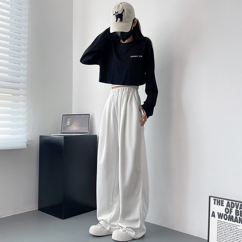 梨型身材显瘦遮肉运动阔腿裤女2025秋季新款慵懒风微胖拖地山本裤,淘宝优惠券,粉丝福利购,淘宝优惠卷