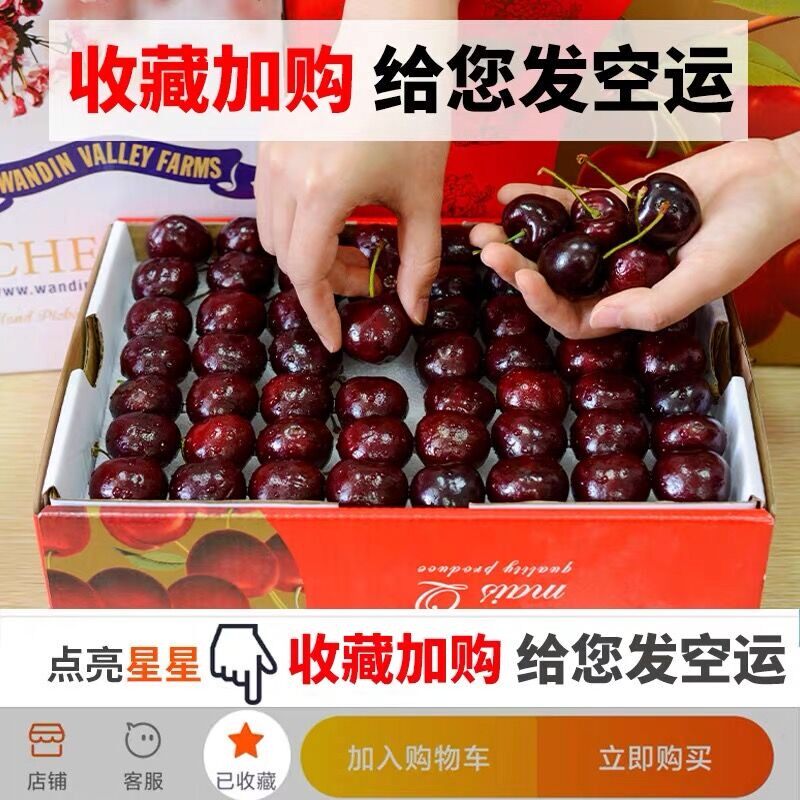  铂果车厘子/樱桃