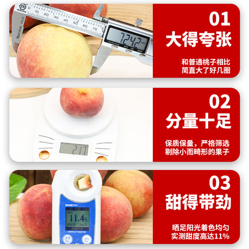顺丰礼盒 春雪水蜜桃5斤新鲜水果当季整箱特大果现摘脆甜毛桃包邮 - 图1