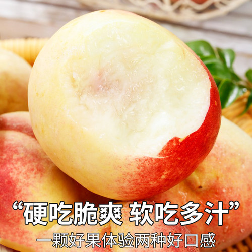 顺丰礼盒 春雪水蜜桃5斤新鲜水果当季整箱特大果现摘脆甜毛桃包邮 - 图2