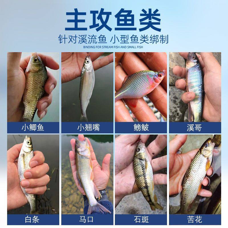 溪流钓线组钓小鱼专用钩白条马口溪石斑小物钓套装抖米鳑鲏七星漂,淘宝优惠券,粉丝福利购,淘宝优惠卷