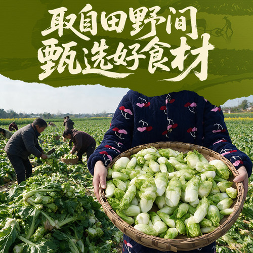 老坛子活泡菜泡儿菜四川泡菜观音菜娃娃菜下饭菜酸菜咸菜小菜袋装 - 图3