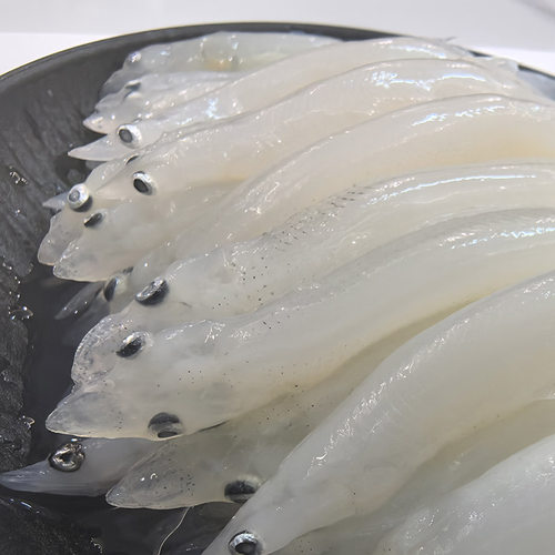 查干湖开江大银鱼250g淡水鱼新鲜银鱼水产冷冻面条鱼白饭鱼辅食 - 图1