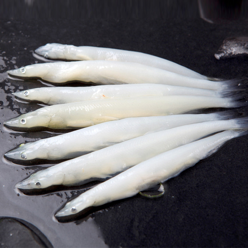 查干湖大银鱼250g国产淡水鱼新鲜银鱼水产冷冻面条鱼白饭鱼辅食 - 图2
