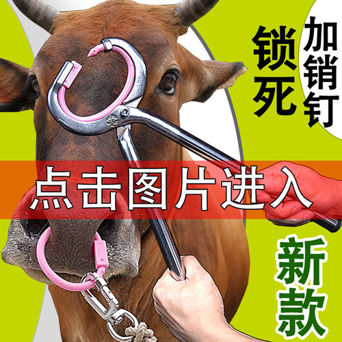 牛鼻环牛鼻圈塑料养牛场设备牛用打孔穿孔钳牛鼻子牵引扣牛鼻钳子 - 图0