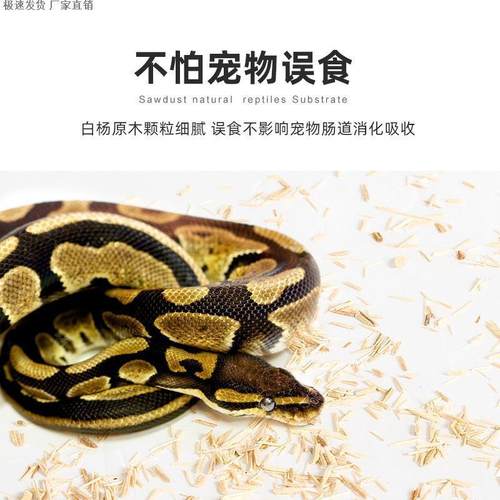 Reptizoo瑞皮蛇垫材宠物蛇用白杨木屑球蟒造景爬宠饲养箱爬虫用品 - 图1