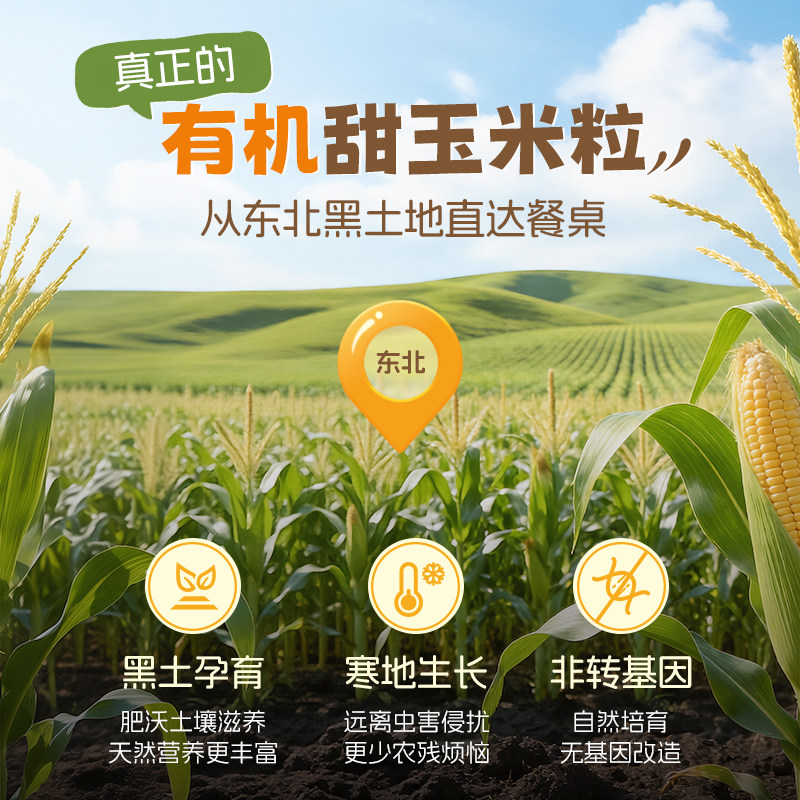 爷爷的农场有机脱皮胚芽玉米粒脱皮玉米粒去皮即食袋装儿童早餐