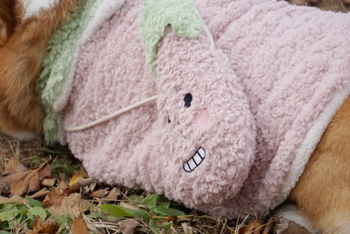 Смешная фенни ягненка-флис Хлопковый жилет Корги теплый куртка толстая собачья одежда плюс флиновая одежда для больших размеров