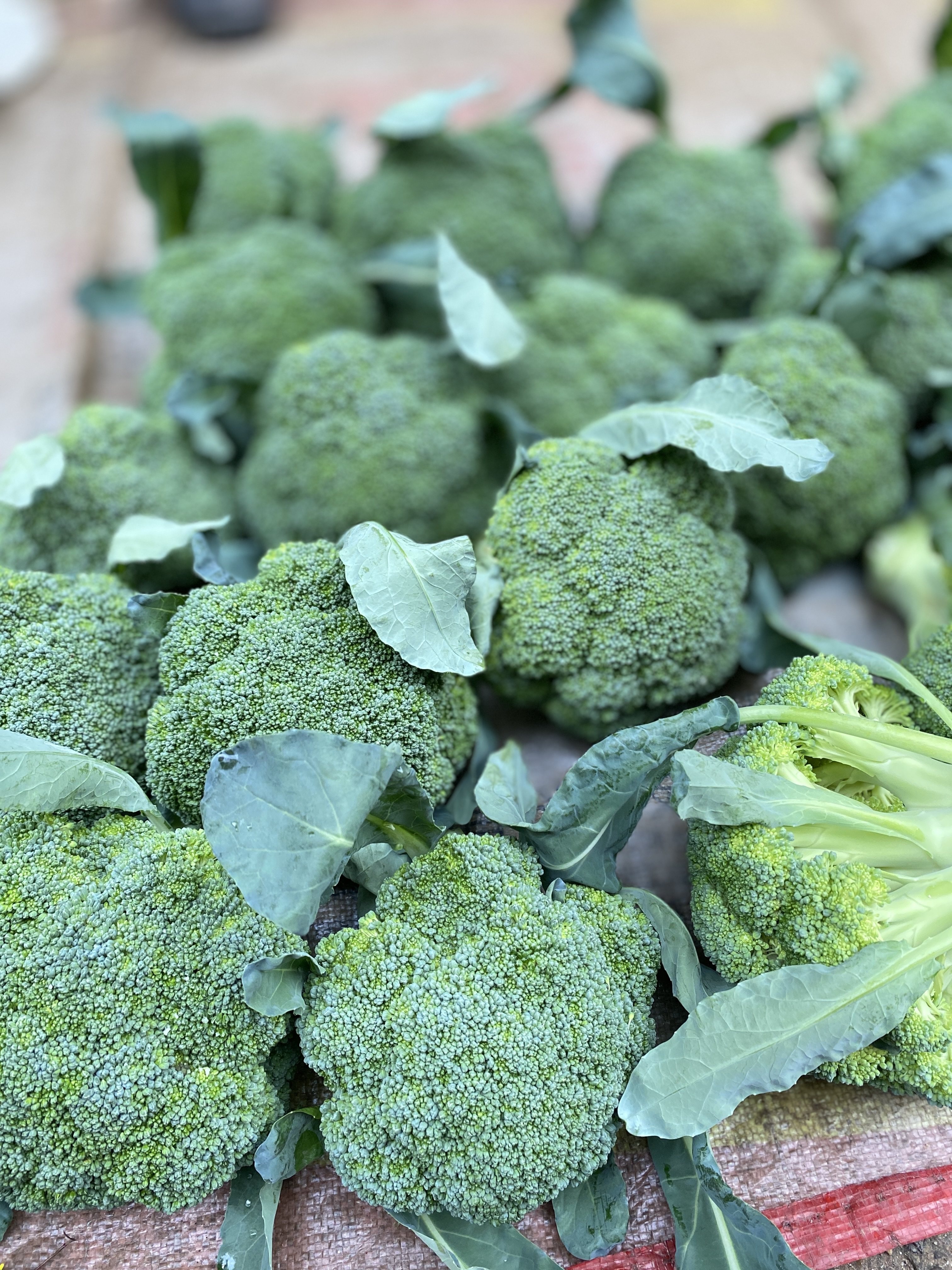 湖南衡阳本地农家自种新鲜西兰花西蓝花,淘宝优惠券,粉丝福利购,淘宝优惠卷