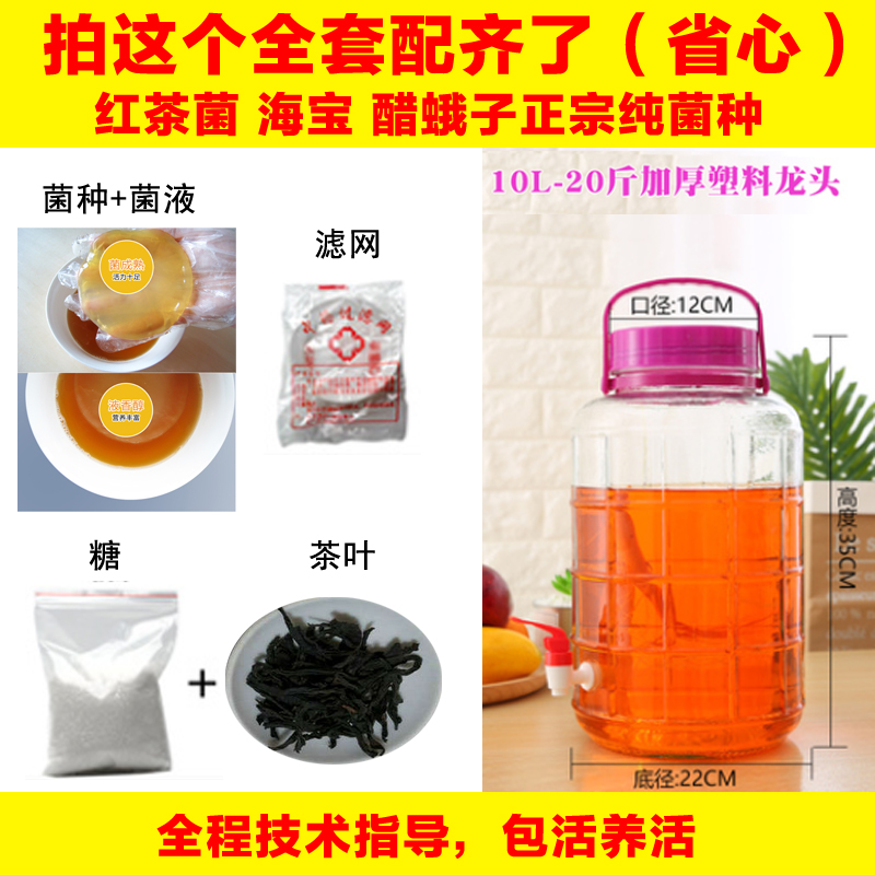 红茶菌 菌种 胃宝 海宝 正宗家用传统老胃宝醋蛾子醋酸菌发酵母液 - 图1