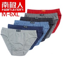 Antarctic man cotton triangle breathable youth panties mid-rise cotton shorts toe fat plus size safety pants
