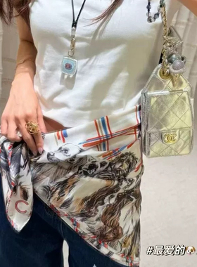 秋冬小香风桑蚕丝狗狗丝巾