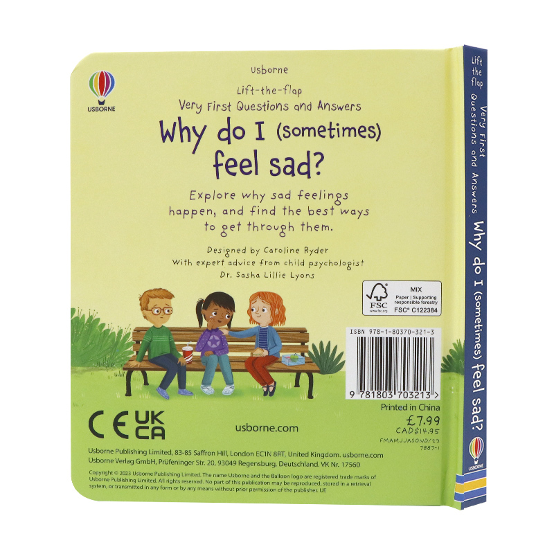 Usborne问与答系列英文原版立体翻翻书为什么我有时候会伤心 Why do I(sometimes) feel sad?儿童情绪管理纸板书机关书-图0