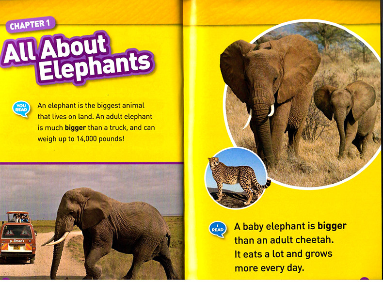 100元5件 国家地理kids 美国国家地理分级阅读1级别National Geographic Kids Readers Level 1 英文原版图书儿童科普百科认知读物