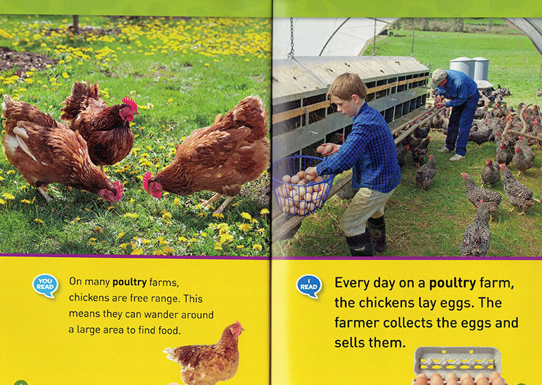 进口英文原版正版绘本 National Geographic Kids Readers:Farm Animals农场动物 国家地理分级阅读初阶 Level1低幼儿童英语启蒙