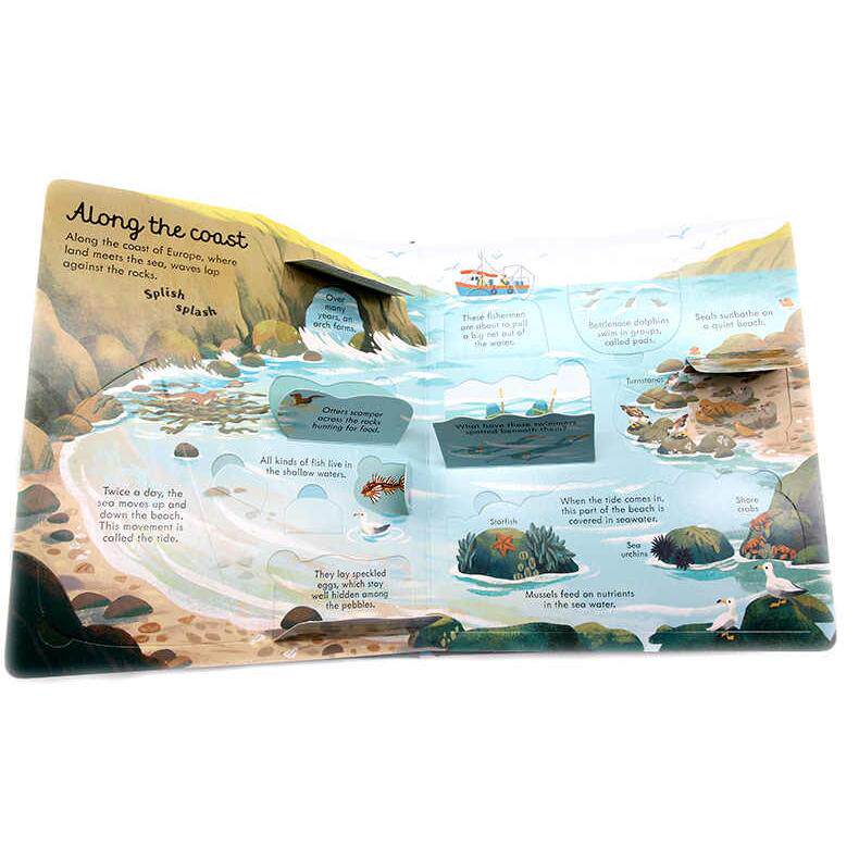 Usborne出品看里面系列海洋 英文原版绘本 Look Inside Seas and Oceans 儿童英语启蒙纸板翻翻书 科普百科 亲子共读 精美插图