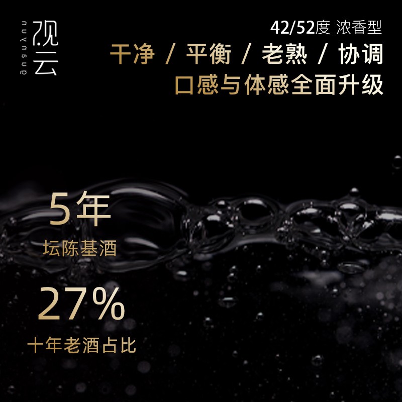 【品牌新享】观云出东方52度浓香白酒500ml*2瓶礼袋聚餐商务送礼