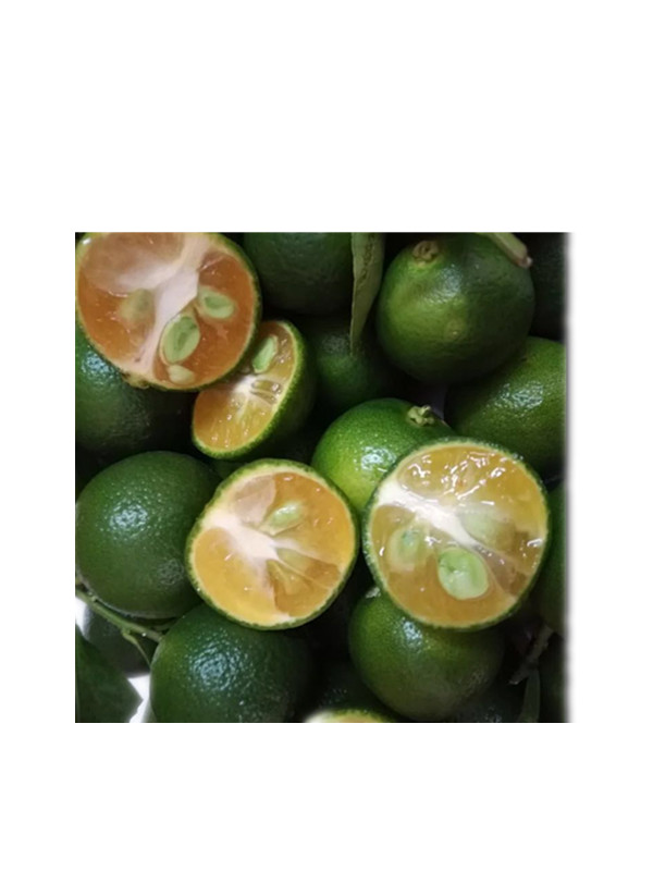 特产  qua quat trai hanh 500g柠檬 - 图0