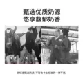 【专享丨3件起包邮】卡士100g风味发酵乳低温酸奶早餐奶100g*6杯 图片 5