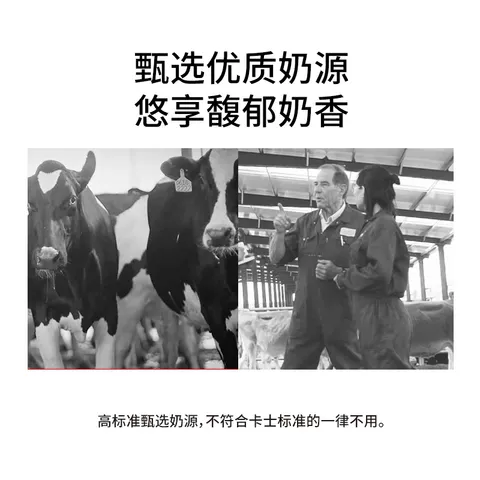 【专享丨3件起包邮】卡士100g风味发酵乳低温酸奶早餐奶100g*6杯 图片 5