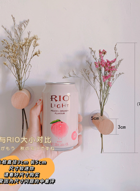 原木北欧ins风出租屋墙壁装饰
