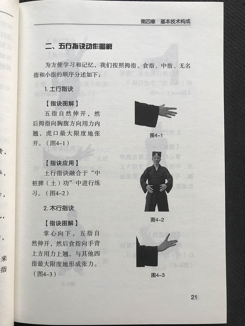 正版 武当道门五行养生桩 刘理航 岳武 站桩书籍站向健康武术站桩养生问答站桩入门与养生武术书气功书武功秘籍咏春拳书籍健身书籍 - 图2