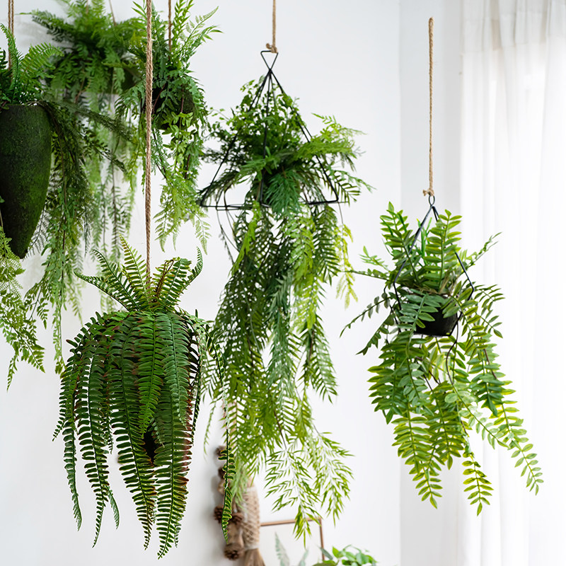 森系垂吊蕨类吊球家居装饰商铺橱窗吊顶仿真景观造景植物波斯草球,淘宝优惠券,粉丝福利购,淘宝优惠卷