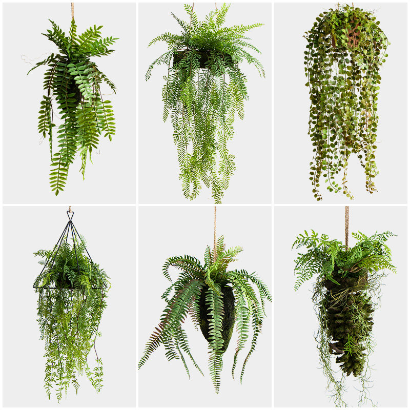 森系垂吊蕨类吊球家居装饰商铺橱窗吊顶仿真景观造景植物波斯草球,淘宝优惠券,粉丝福利购,淘宝优惠卷