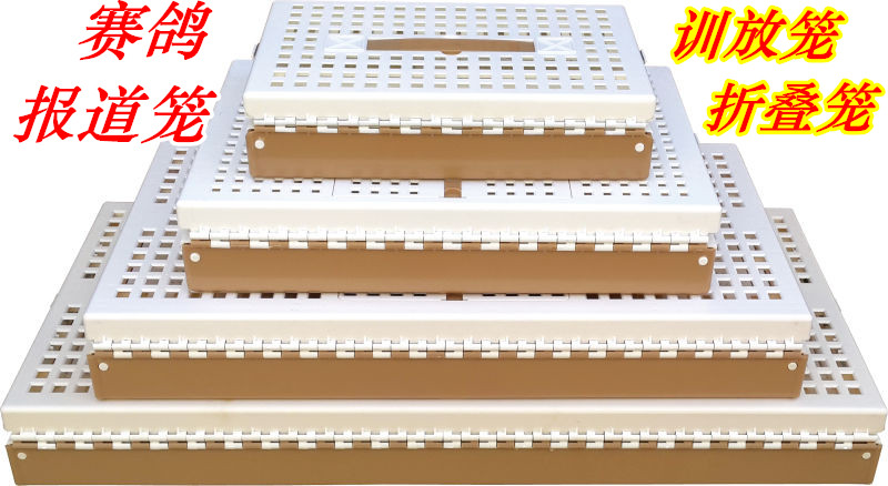 信鸽训放笼/赛鸽折叠塑料笼/信鸽放飞笼/赛鸽比赛报道笼 - 图3