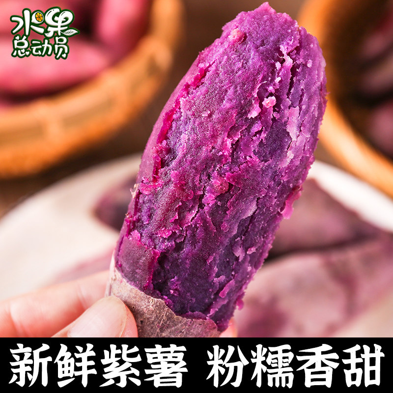现挖新鲜5斤沙地紫红小香薯番薯 水果总动员番薯