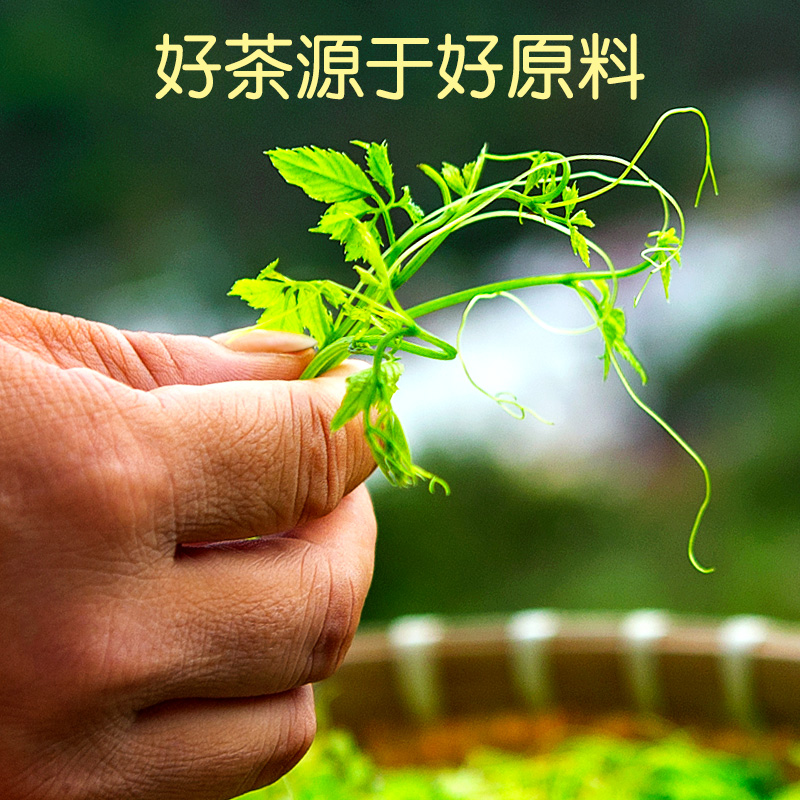 买2发3平利绞股蓝龙须茶旗舰店正品绞股蓝中药材茶五叶非特级野生