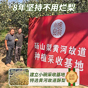 小碗良食枇杷秋梨膏酥梨萃砀山秋梨膏[4元优惠券]-寻折猪