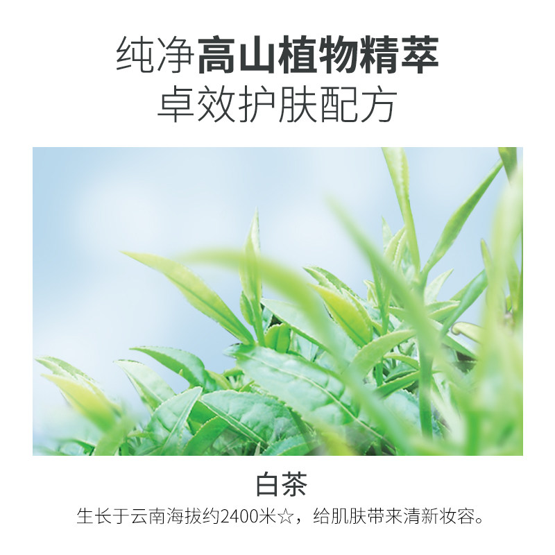 植物医生定妆粉老牌持久控油散粉 植物医生网鸿蜜粉/散粉