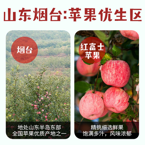 一米市集苹果脆片25g非油炸无添加白砂糖烟台苹果脆片健康零食 - 图0