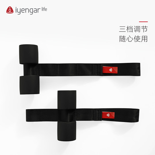 Iyengar life yoga aid travel portable door