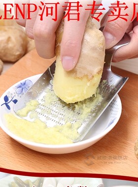 Stainless Steel Ginger Shredder Wasabi Grinder Garlic Grater