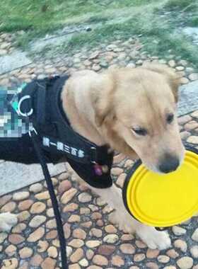 1000ml Large Collapsible Dog Pet Folding Silicone Bowl Outdo