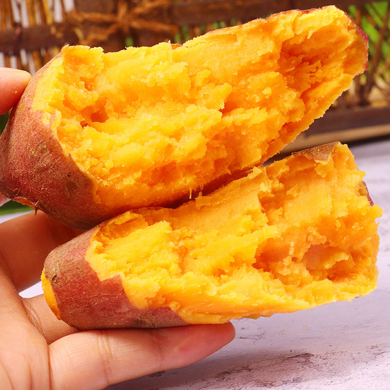 2021现挖新鲜9斤5沙地番薯10 百泰源番薯