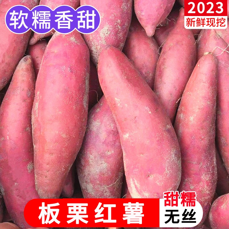 西瓜红蜜薯糖心新鲜10斤5板栗红薯 百泰源番薯