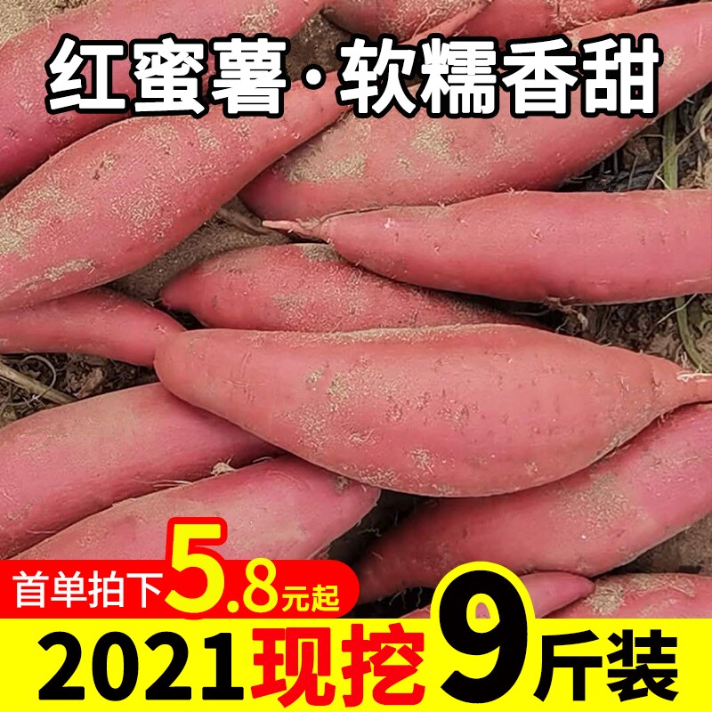 2021现挖新鲜9斤5沙地番薯10 百泰源番薯