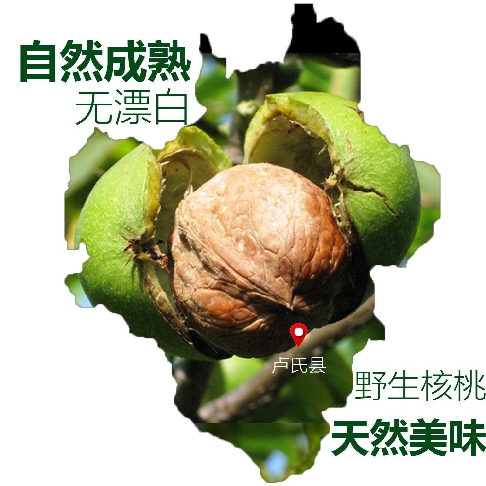 常绿 卢氏老树核桃干货 原味农家自产坚果1000g 新货包邮,淘宝优惠券,粉丝福利购,淘宝优惠卷