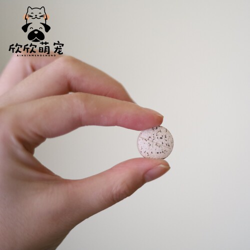 欣欣  现货包邮绿十字猫草片 Vet'sBest化毛片猫用去毛球60片 - 图1