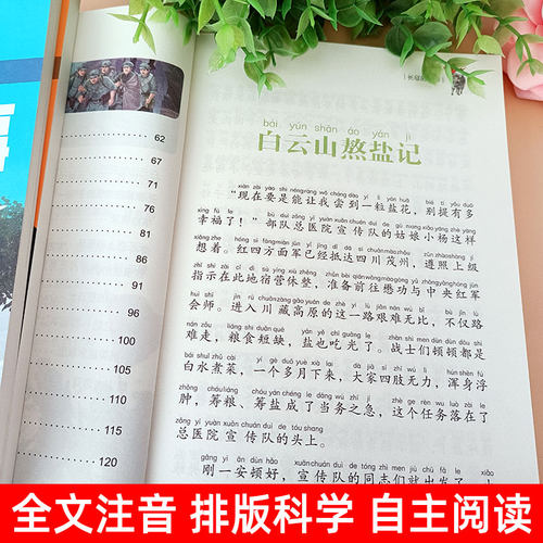 革命红色经典书籍闪闪的红星雷锋的故事抗日英雄长征的故事彩图注音版一二三年级必读英雄人物的故事书6-10岁小学生课外书暑假阅读 - 图1