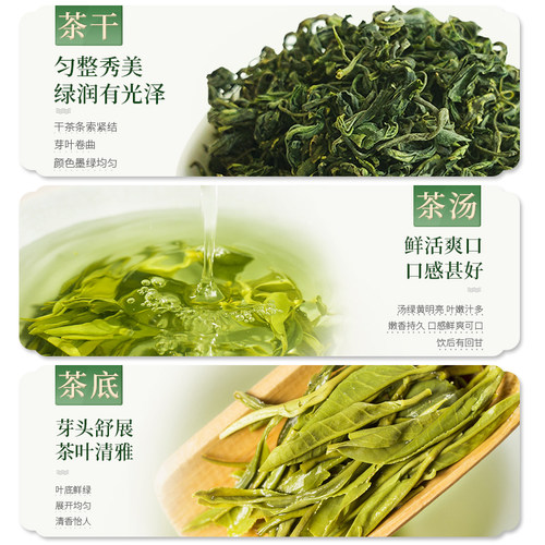 私人订制惠州特产茶叶柏塘山茶博罗手工明前绿茶50小泡礼盒装茶叶 - 图2