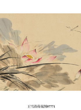 溥儒白莲图荷花图花鸟画挂画
