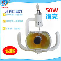 Dental Halogen Lamp Daylight Oral Lamp Integrated Chair Dental Chair Accessories Dental Chair Oral Dental bed Check light Oral equipment